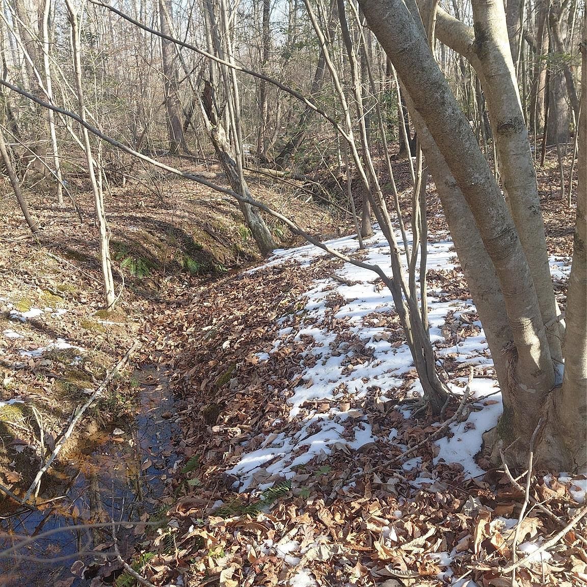 3825 Wood Glen Dr #5 Morganton, NC 28655 - Thumbnail 4