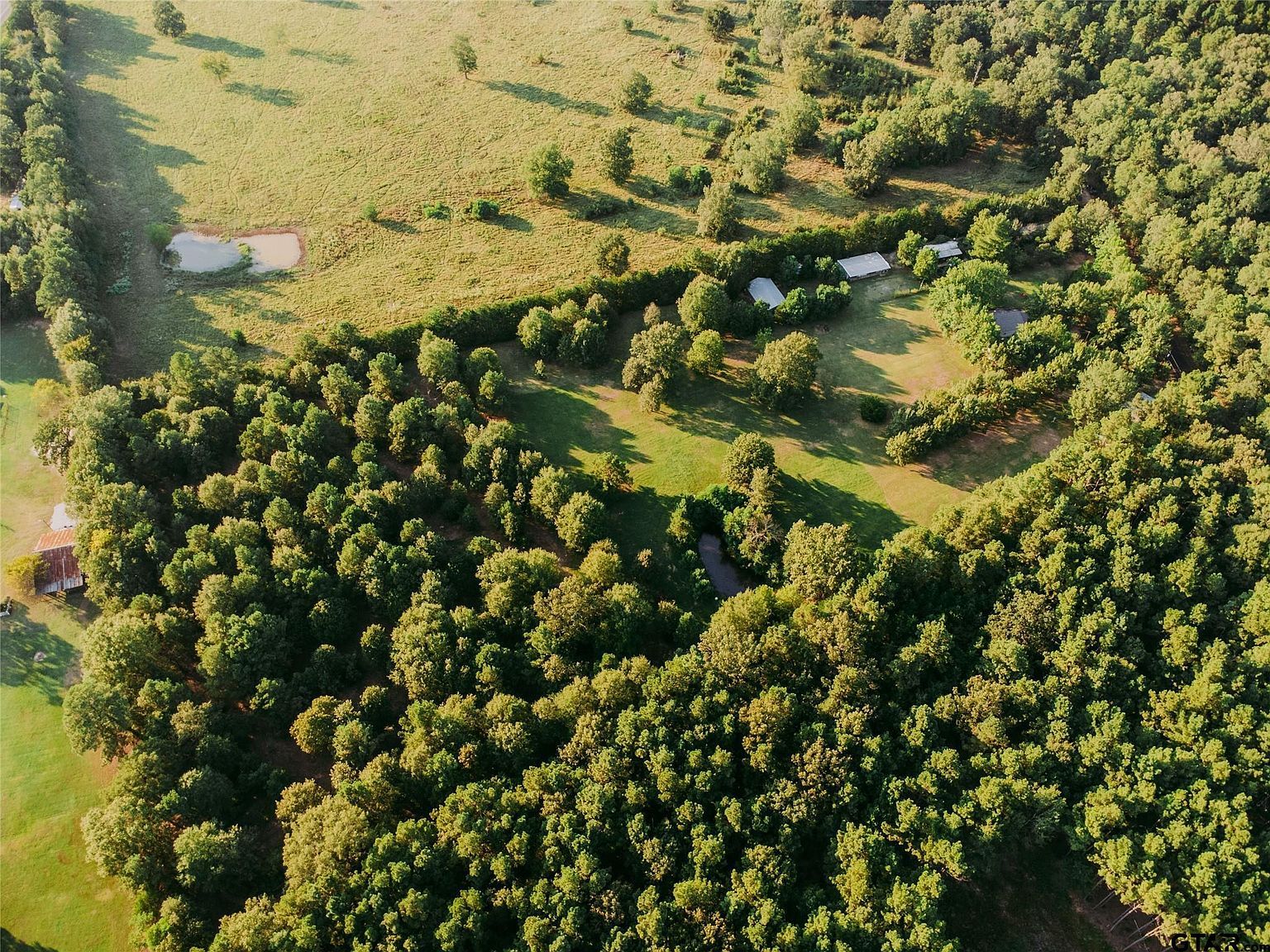 1609 County Rd Wells, TX 75976 - Thumbnail 4