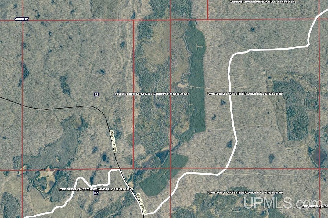 Mead Logging Rd Crystal Falls, MI 49920  | Land/Lot