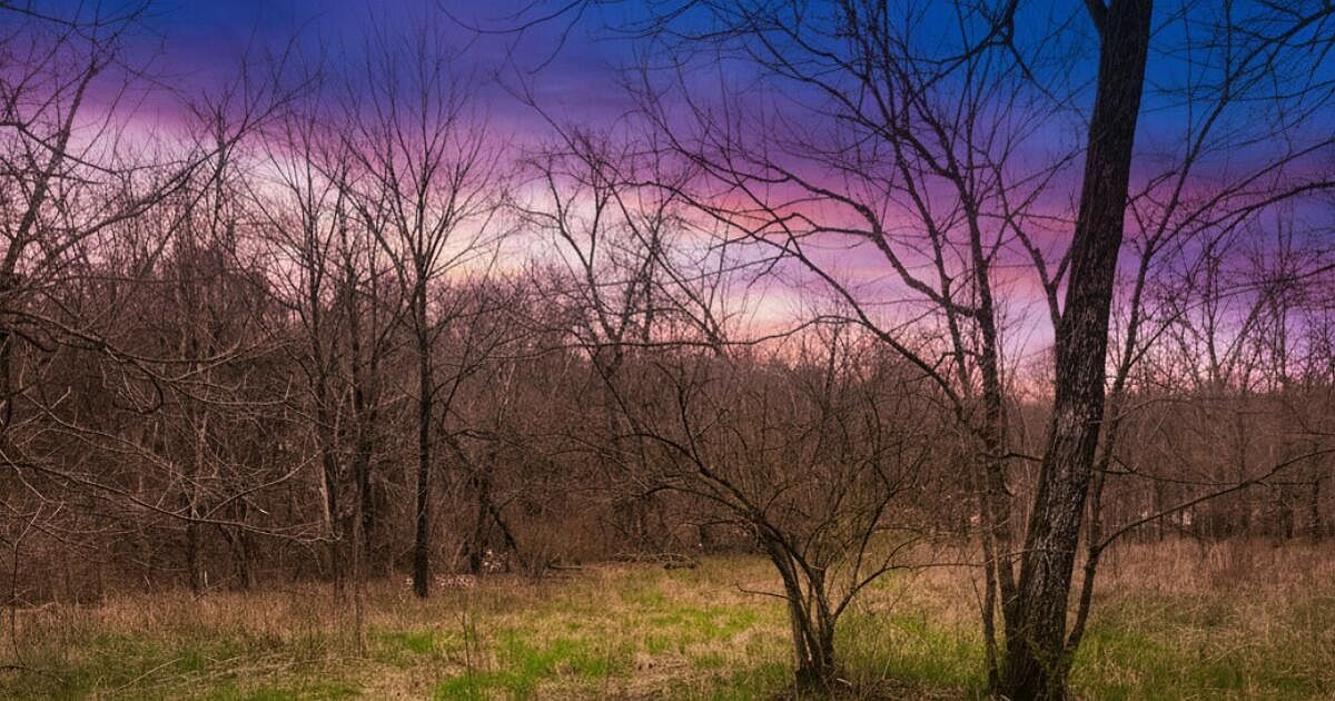 1205 Turner Rd Williamstown, KY 41097 - Thumbnail 4