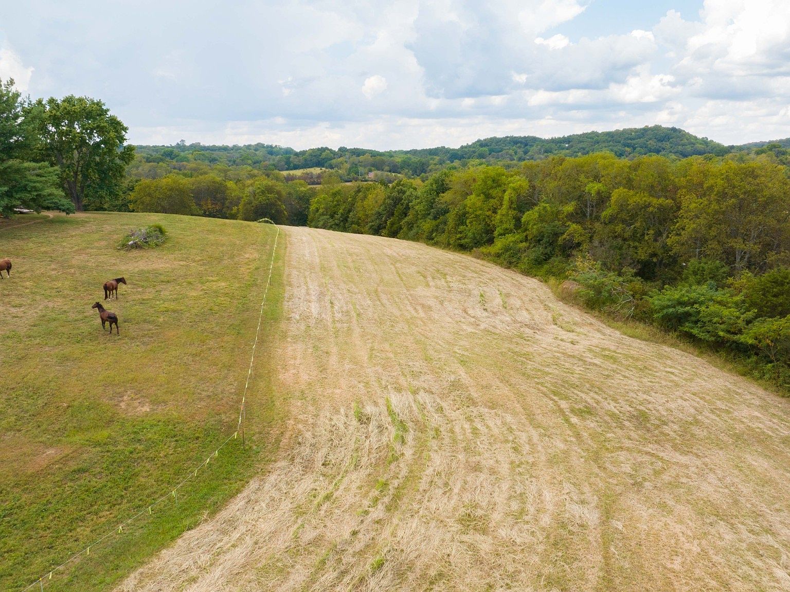 0 Franklin Rd LOT 20 Gallatin, TN 37066 - Thumbnail 4