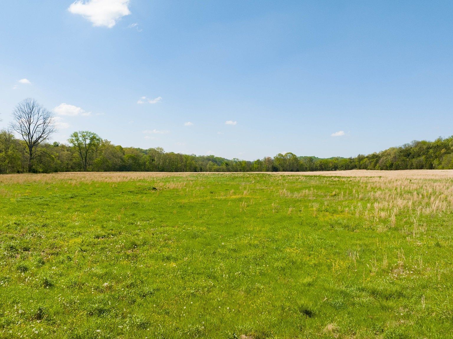 0 Pee Dee Branch Rd LOT 2-9 Cottontown, TN 37048 - Thumbnail 4