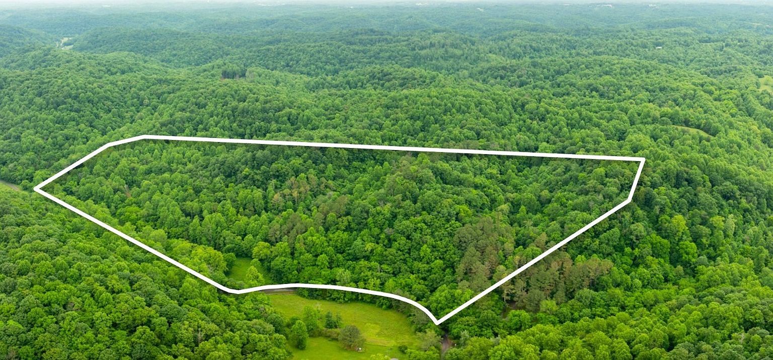 765 Leath Chapel Rd Bethpage, TN 37022 - Thumbnail 4