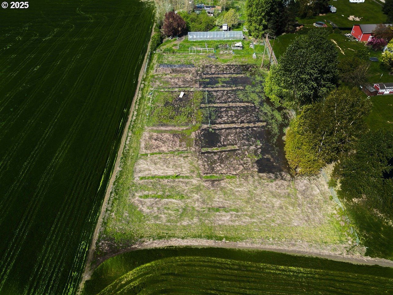 6653 Columbus St SE Albany, OR 97322 - Thumbnail 4