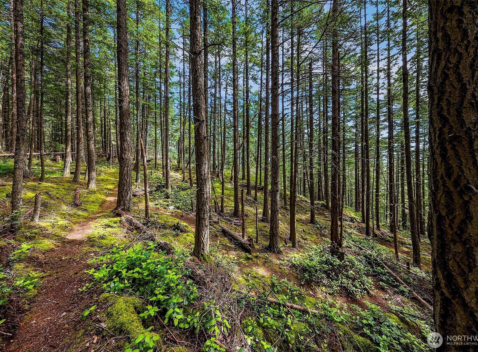 3073 Hales Passage Dr Lummi Island, WA 98262 - Thumbnail 4