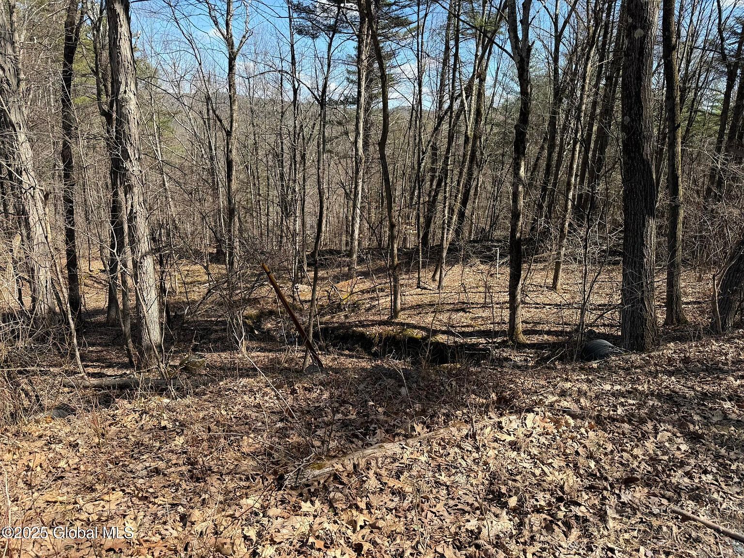 L1724 Tsatsawassa Lake Rd East Nassau, NY 12062 - Thumbnail 4