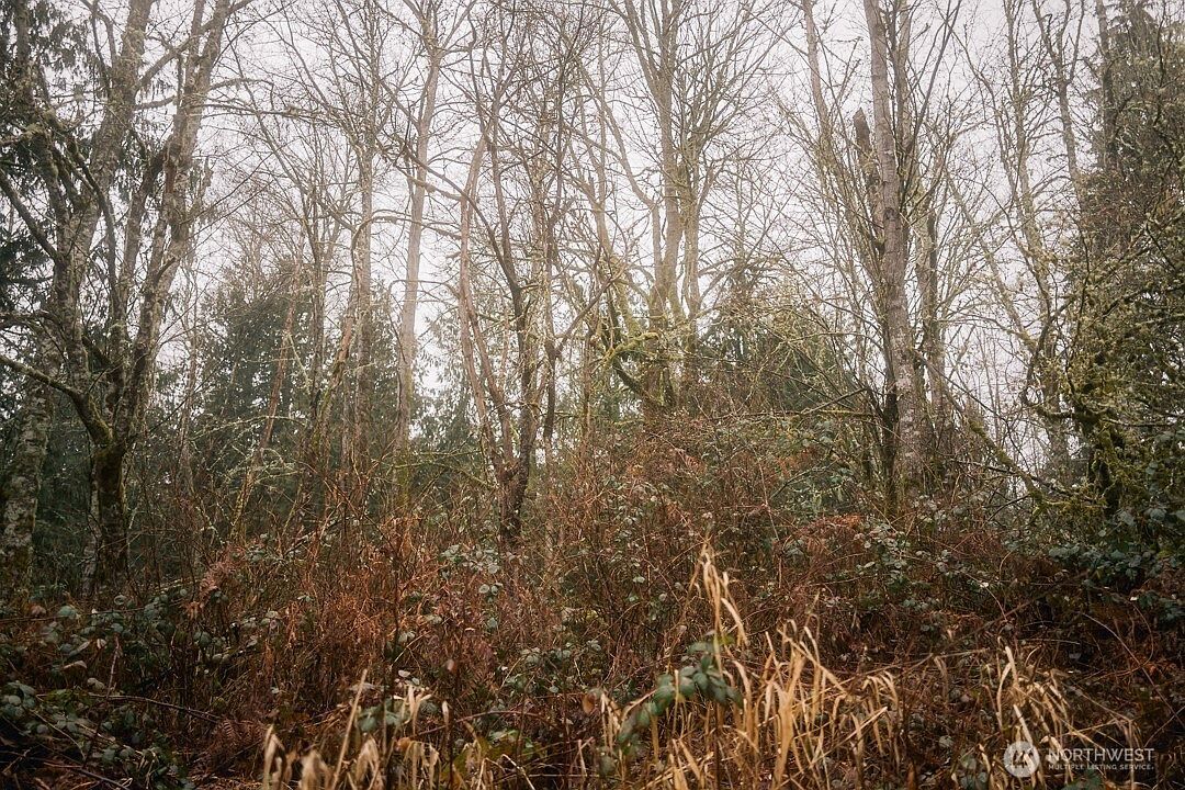 950 Yew St Bellingham, WA 98229 - Thumbnail 4