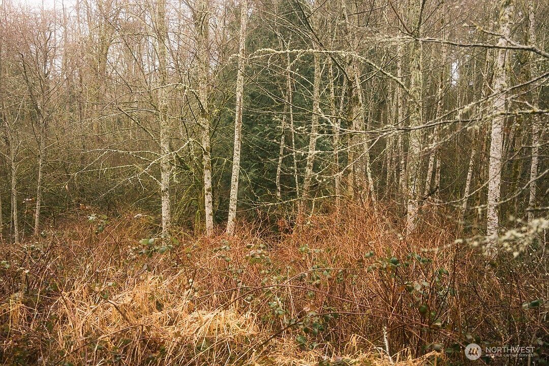 0 Princeton Ct Bellingham, WA 98229 - Thumbnail 4