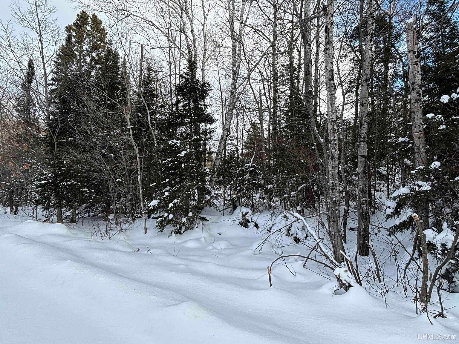 Al County Rd Champion, MI 49814 - Thumbnail 4