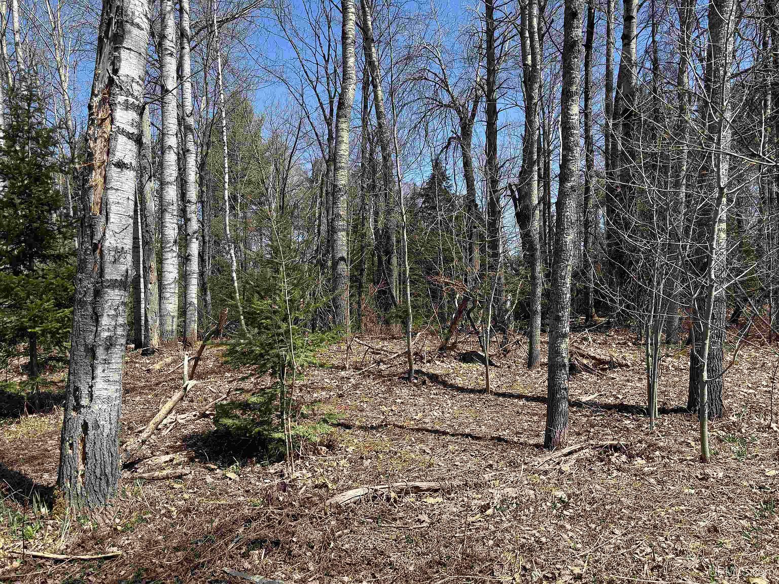 County Road 581 Ishpeming, MI 49849 - Thumbnail 4