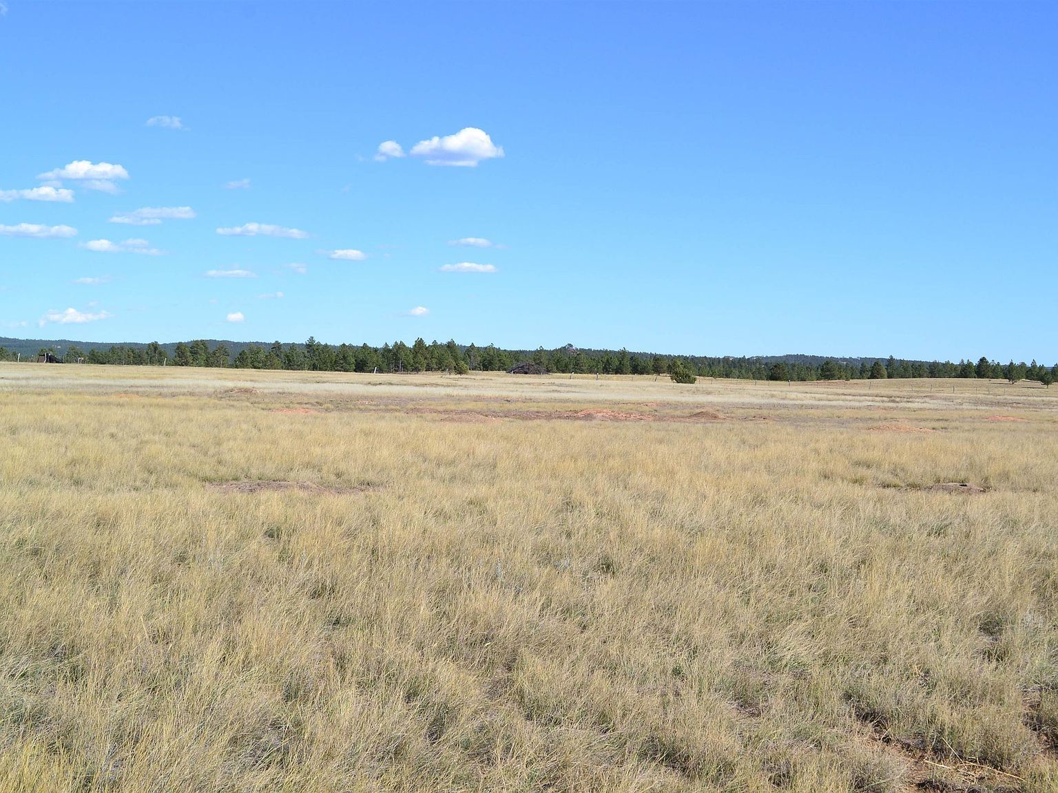 Tbd Moonlight Dr Edgemont, SD 57735 - Thumbnail 4