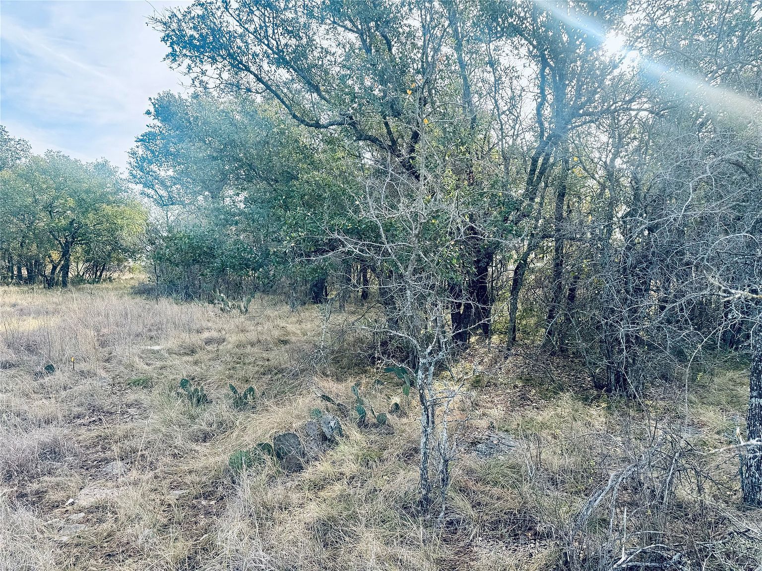 194 Willie B Dr, Brownwood, TX, 76801 - Thumbnail 4