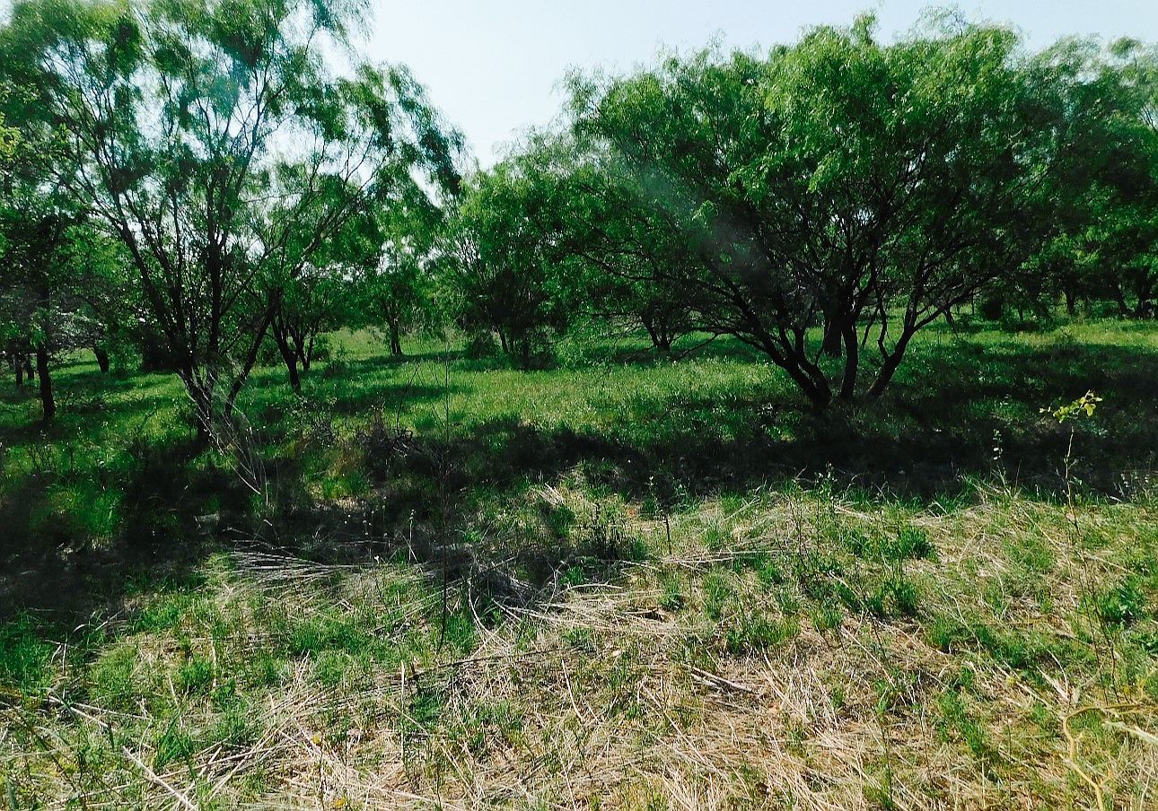 LOT 8 Morris Sheppard Dr Brownwood, TX 76801 - Thumbnail 4