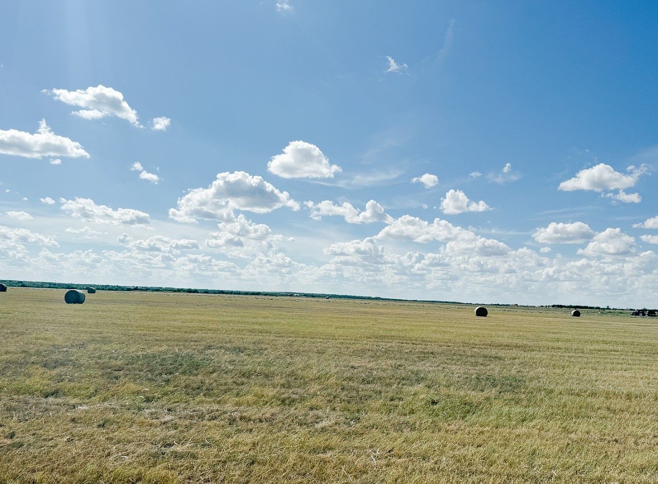 201ACRE S County Road 419 Rochelle, TX 76872 - Thumbnail 4