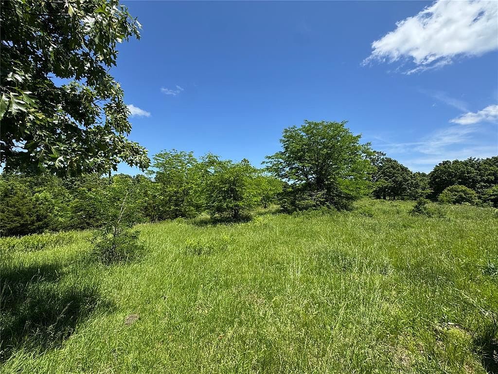 0 Cardinal Rd Dixon, MO 65459 - Thumbnail 4