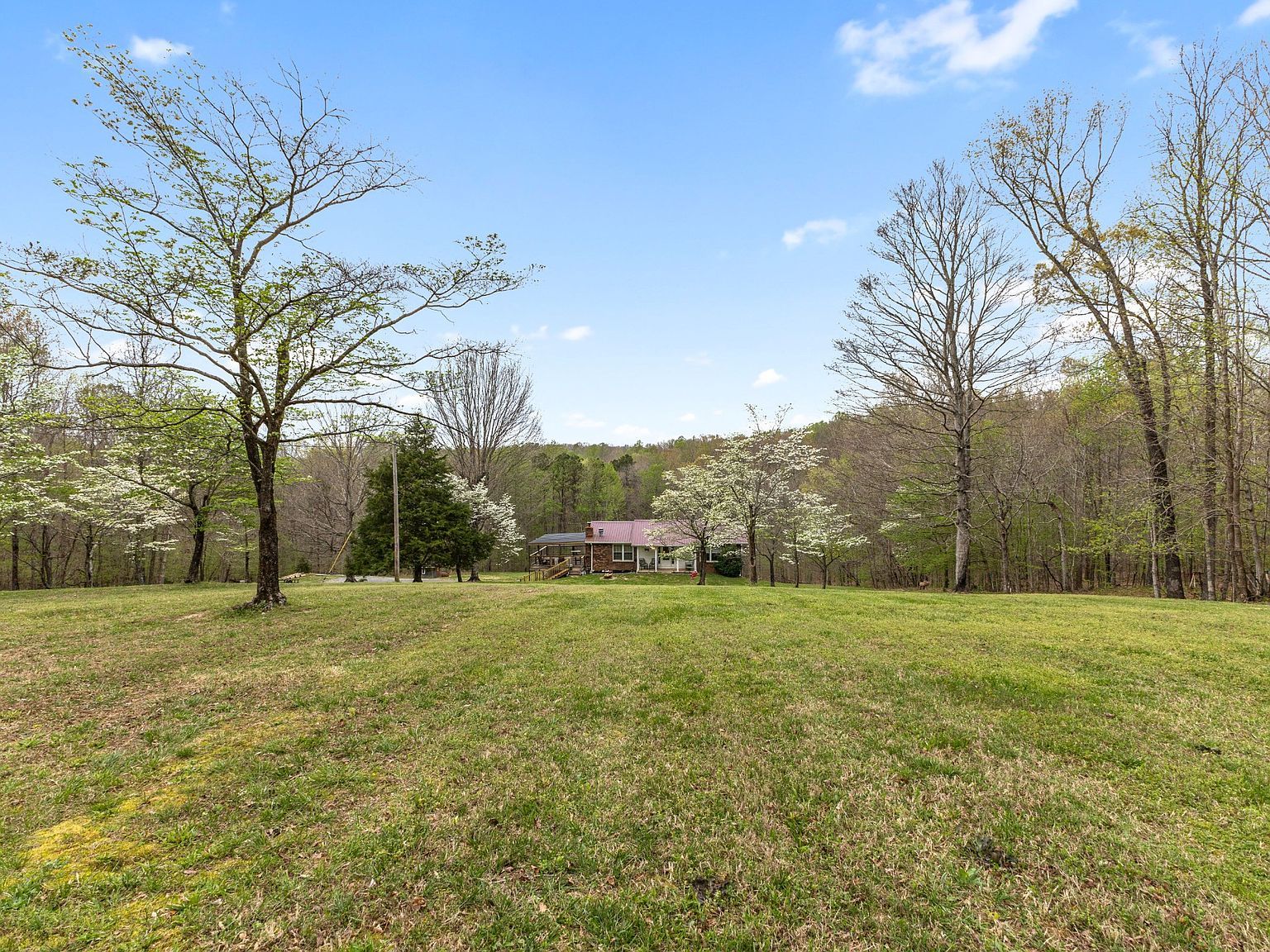 180 Hill Rd Vanleer, TN 37181 - Thumbnail 4