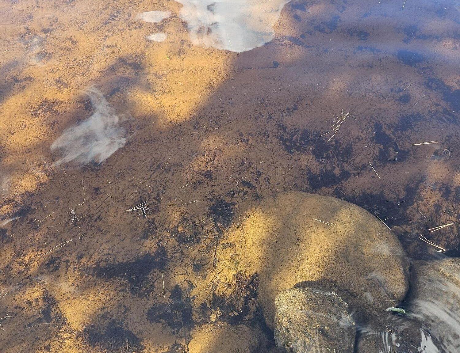 81 Hull Rd Rainbow Lake, NY 12976 - Thumbnail 4