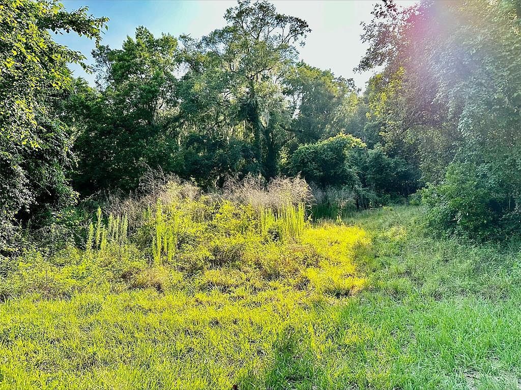 6518 S Withlapopka Dr #1 Floral City, FL 34436 - Thumbnail 4