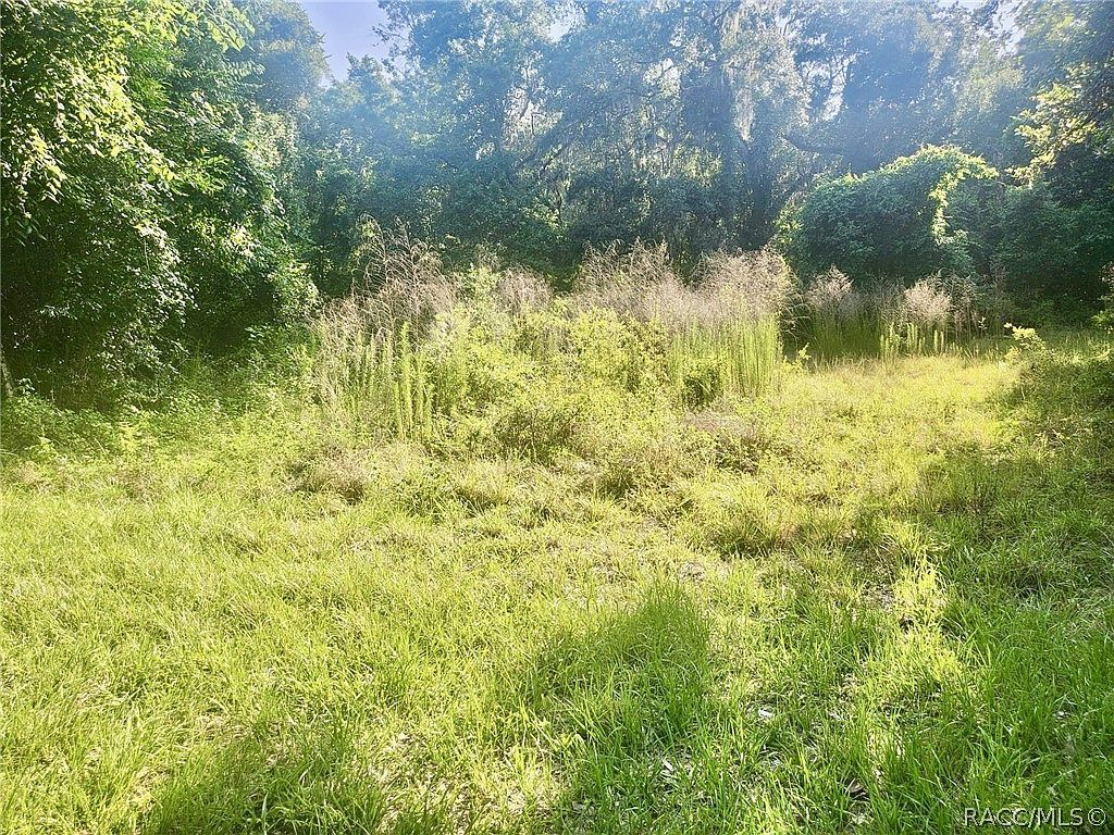 6518 S Withlapopka Dr Floral City, FL 34436 - Thumbnail 4