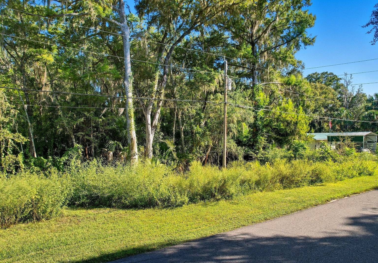 County Road 401 Florida Lake Panasoffkee, FL 33538 - Thumbnail 4