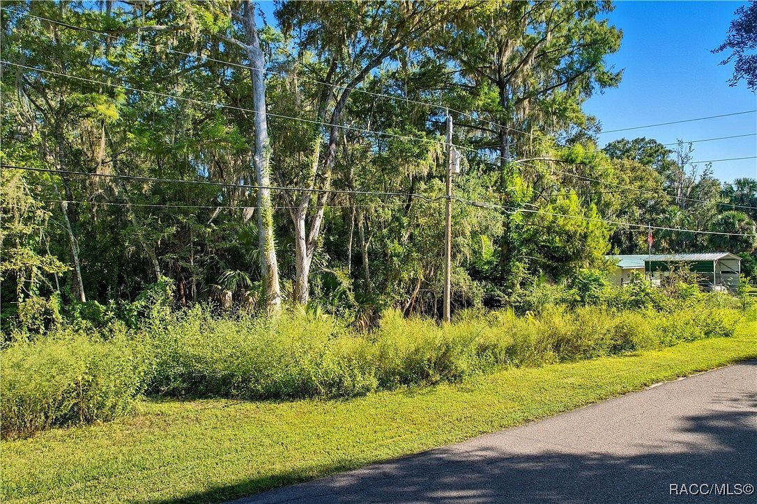 County Road 401 Lake Panasoffkee, FL 33538 - Thumbnail 4