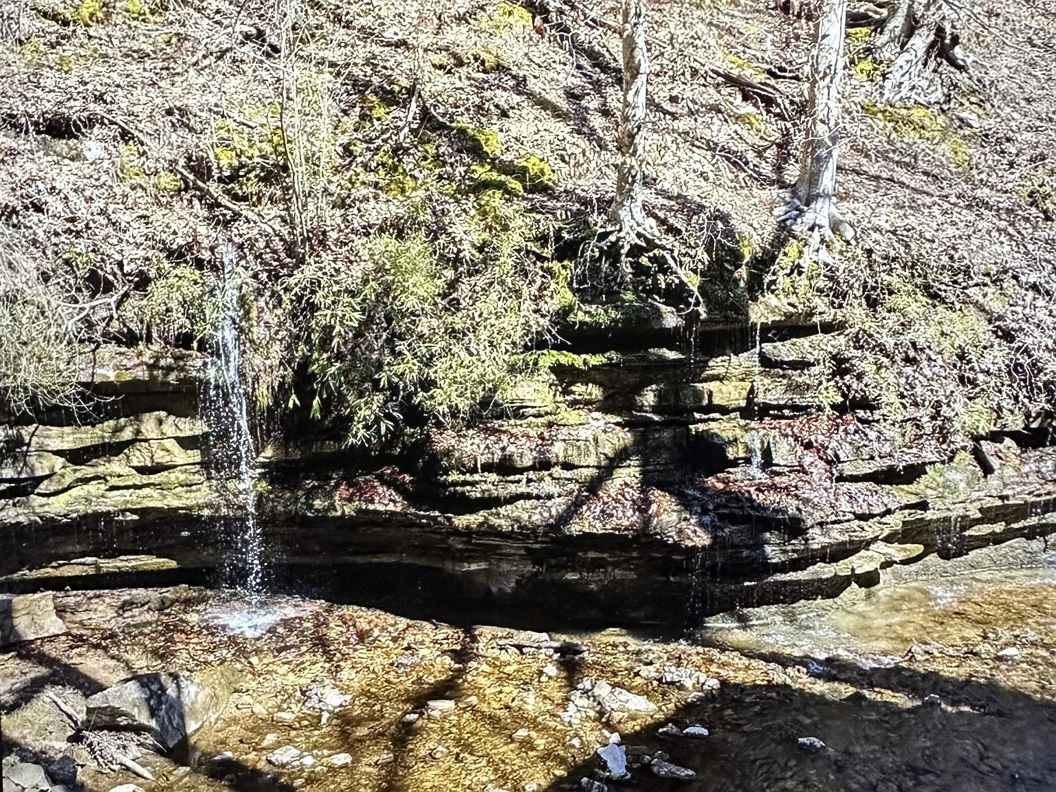 2024 Powdermill Hill Rd Lawrenceburg, TN 38464 - Thumbnail 4