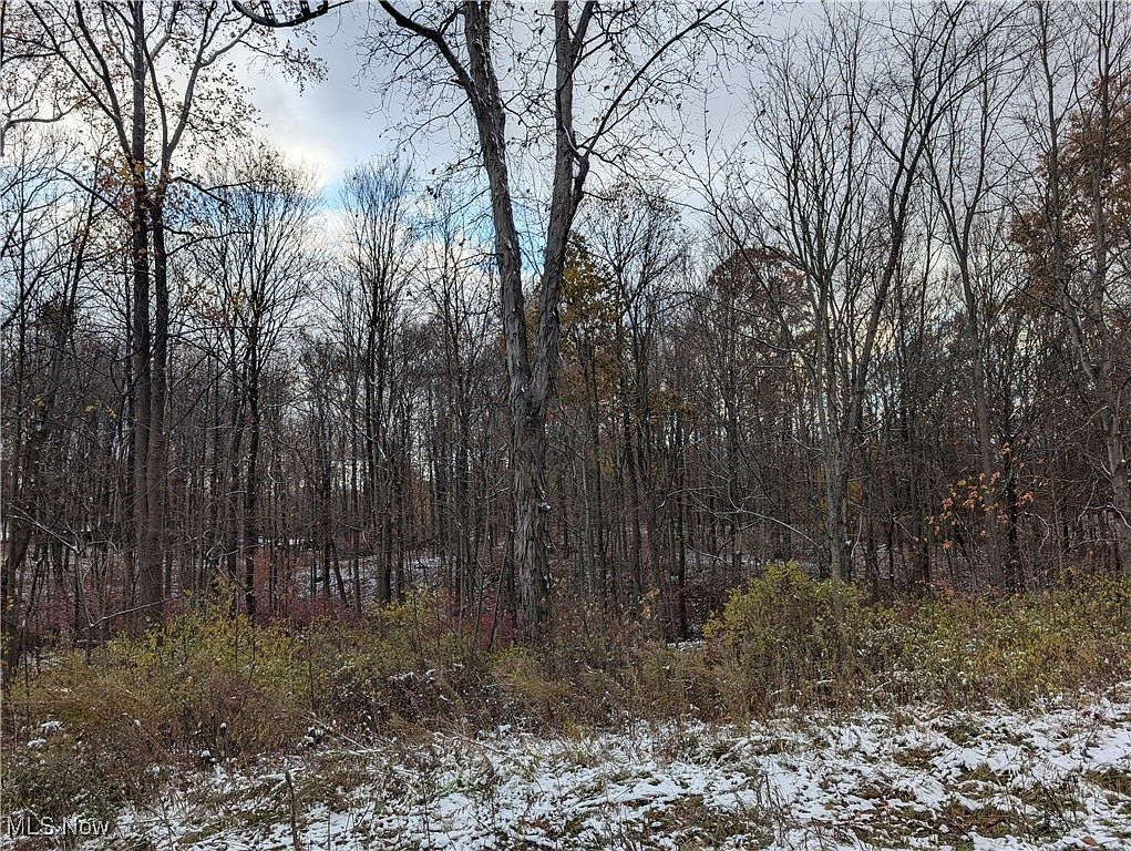 Greenwich Rd Lodi, OH 44254 - Thumbnail 4