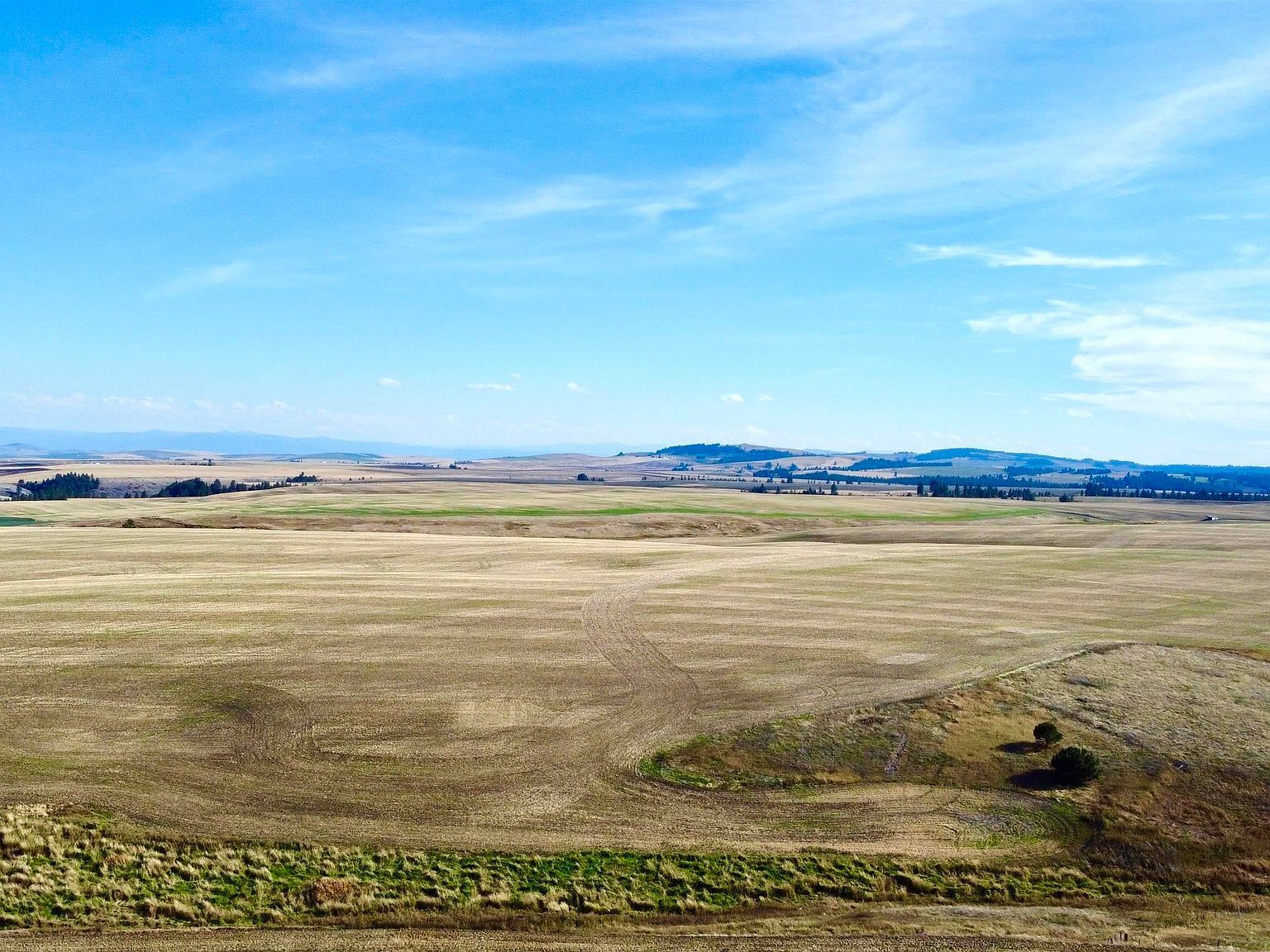 Westlake Rd #80AC Craigmont, ID 83523 - Thumbnail 4