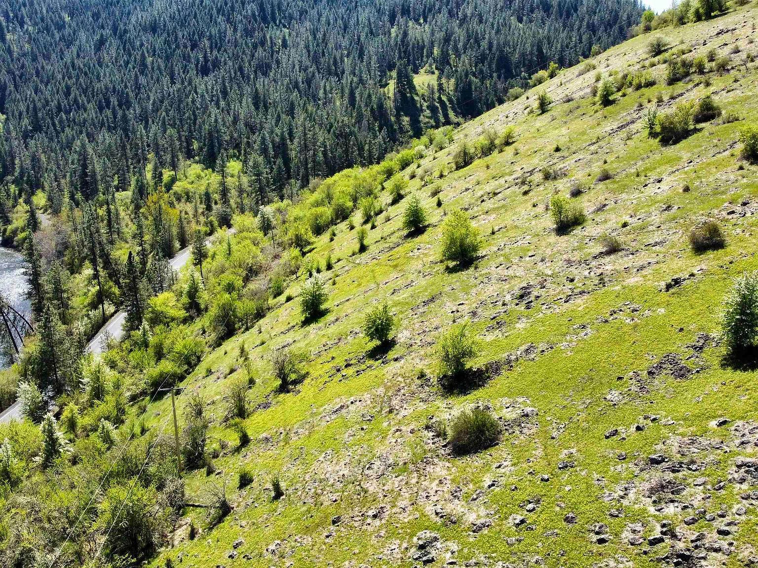 7AC Lukes Gulch Rd Stites, ID 83552 - Thumbnail 4