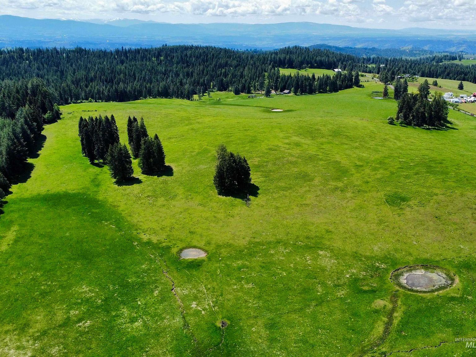 1726 Kidder Ridge Rd Kamiah, ID 83536 - Thumbnail 4