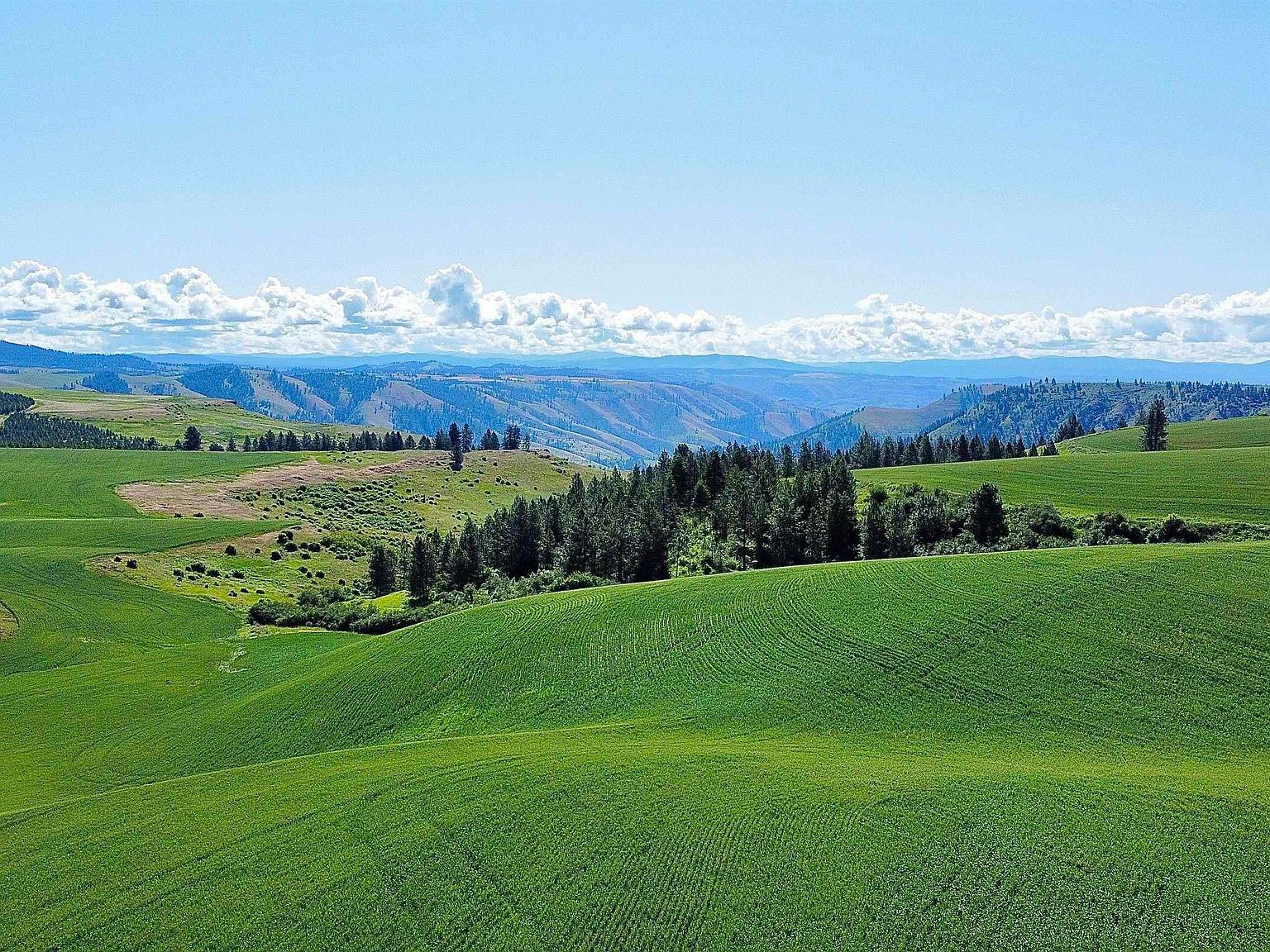 Basket Rd PARCEL 1 Nezperce, ID 83543 - Thumbnail 4