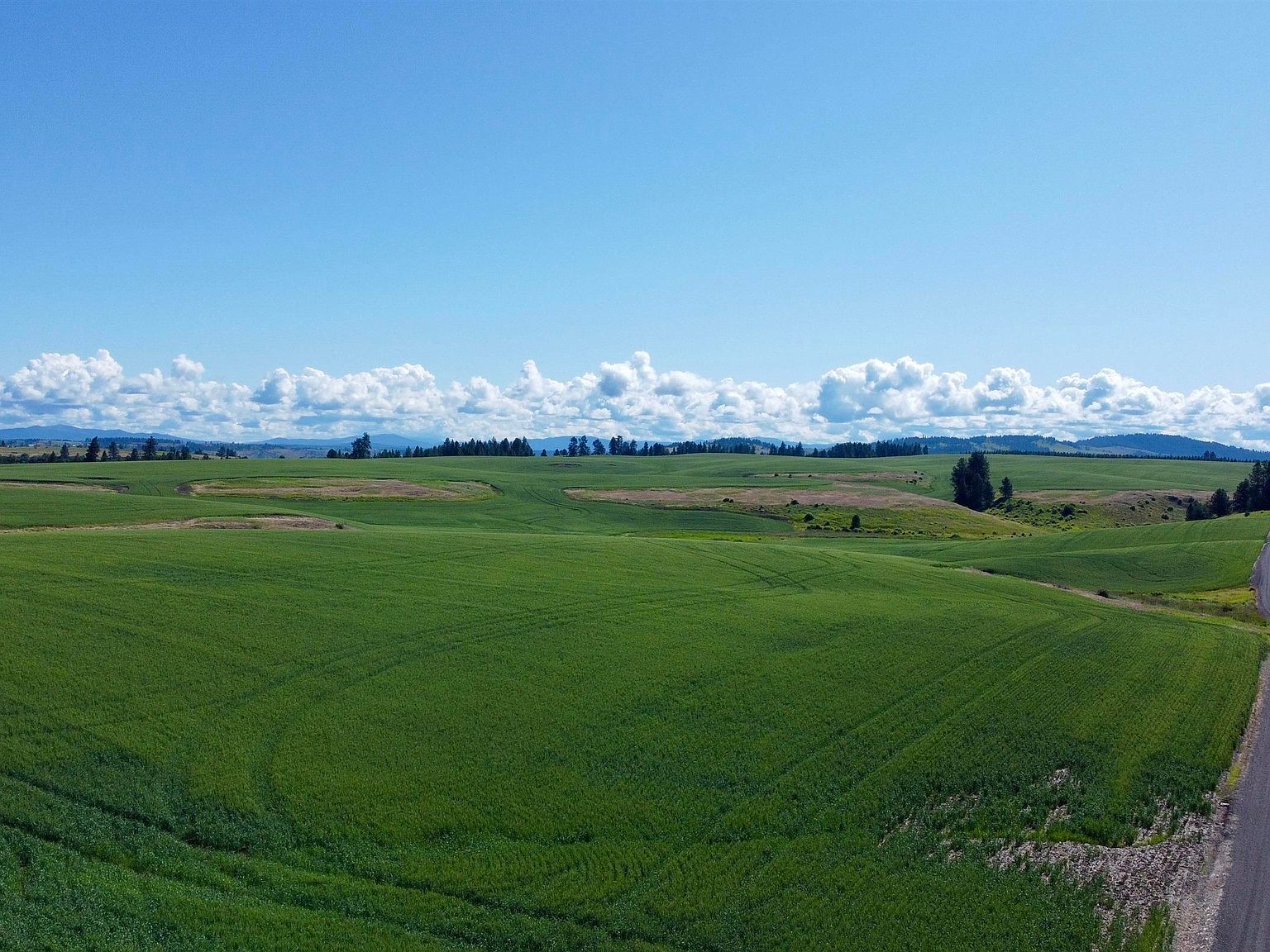 Basket Rd PARCEL 2 Nezperce, ID 83543 - Thumbnail 4