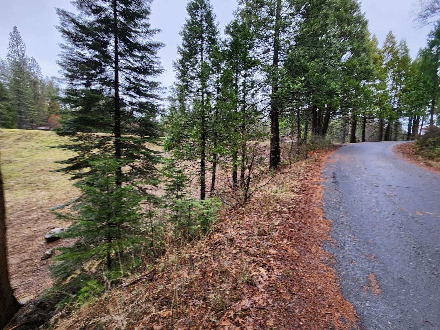 4337 Lakemont Dr Arnold, CA 95223 - Thumbnail 4