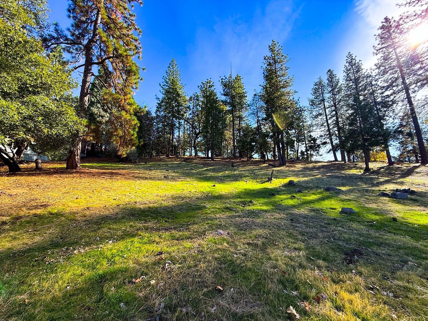 297 Forest Meadows Dr Murphys, CA 95247 - Thumbnail 4