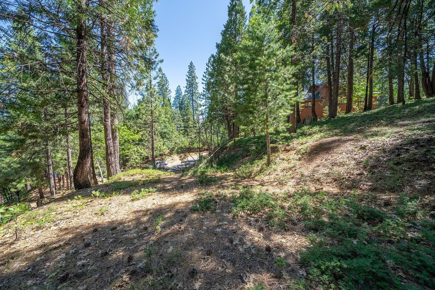 2595 Chamonix Dr Arnold, CA 95223 - Thumbnail 4