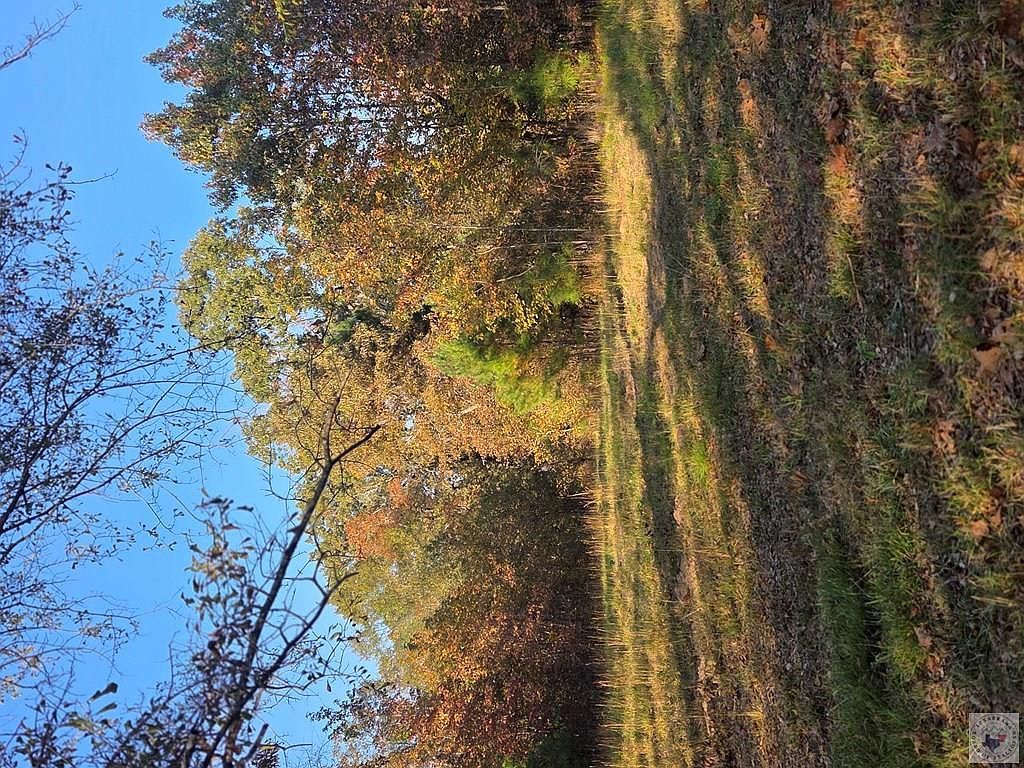 55ACRE S County Road 3117 Clarksville, TX 75426 - Thumbnail 4