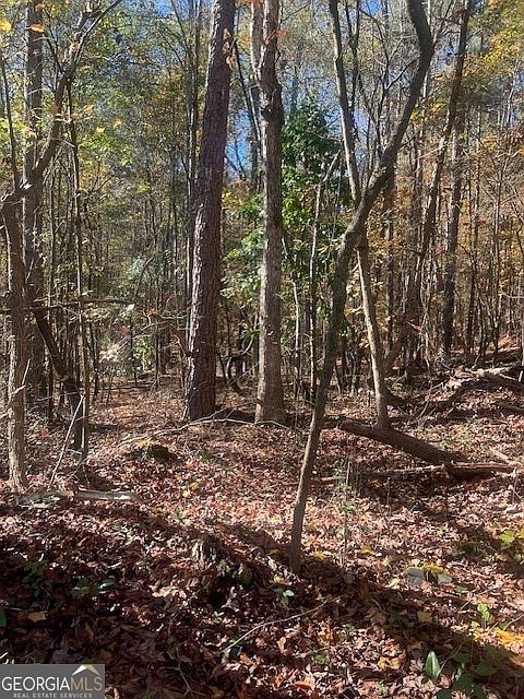 2178 Hillwood Dr NE Conyers, GA 30012 - Thumbnail 4