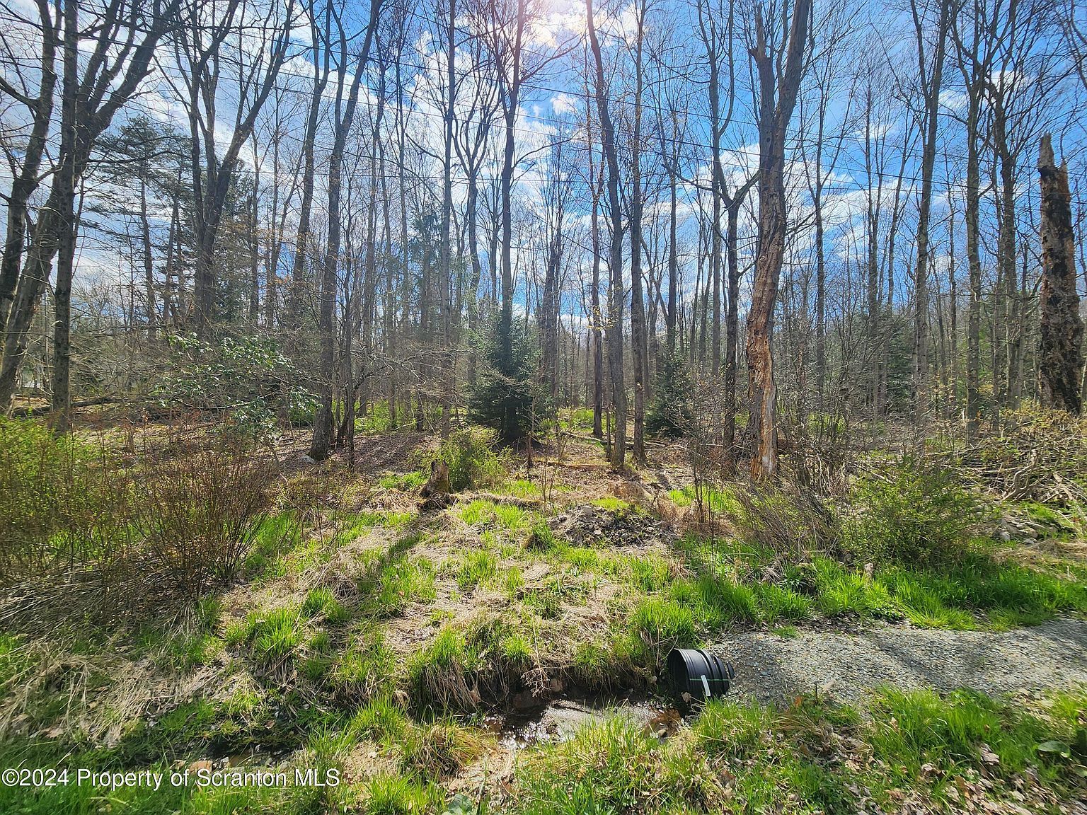 Ridge St Moscow, PA 18444 - Thumbnail 4