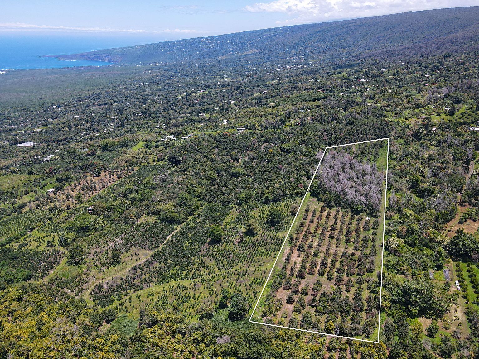 84-1178 Telephone Exchange Rd LOT B-8 Captain Cook, HI 96704 - Thumbnail 4