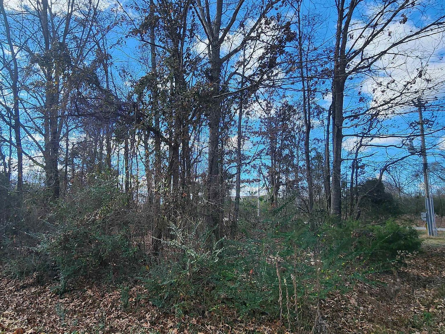 107 Southhaven Ave Cabot, AR 72023 - Thumbnail 4