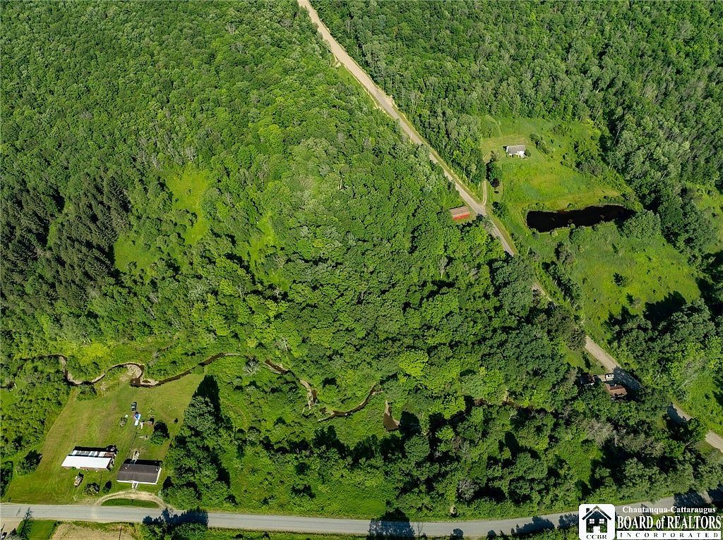 0 Morgan Hollow Rd #53 Franklinville, NY 14737 - Thumbnail 4