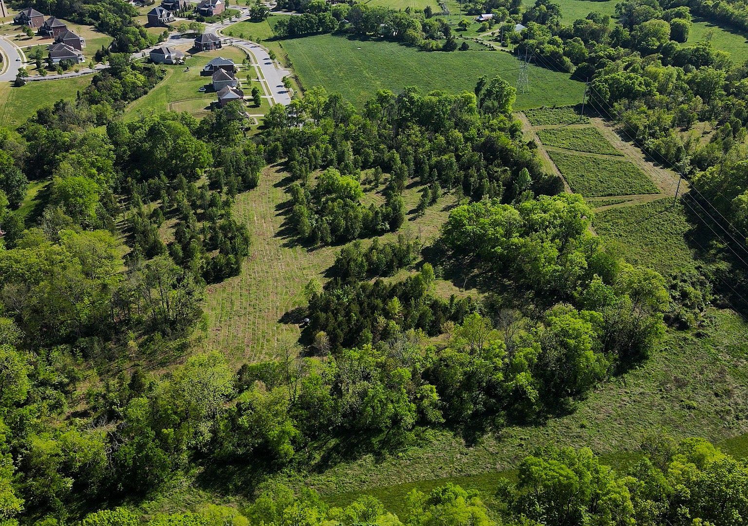 691 Green Hill Blvd Brentwood, TN 37027 - Thumbnail 4