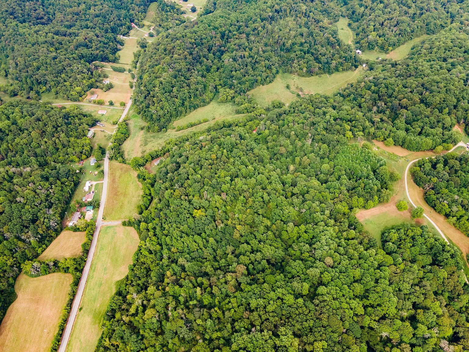 3045 Robert Skelley Rd Columbia, TN 38401 - Thumbnail 4