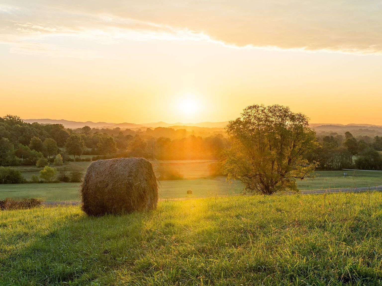 2029 Vista Creek Ln LOT 8 Franklin, TN 37064 - Thumbnail 4