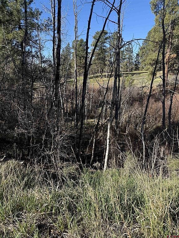 61 E Golf Pl Pagosa Springs, CO 81147 - Thumbnail 4