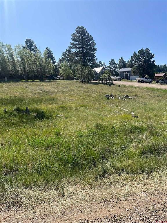 20 La Costa Ct Pagosa Springs, CO 81147 - Thumbnail 4