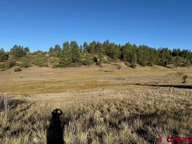 980 Catchpole Dr Pagosa Springs, CO 81147 - Thumbnail 4