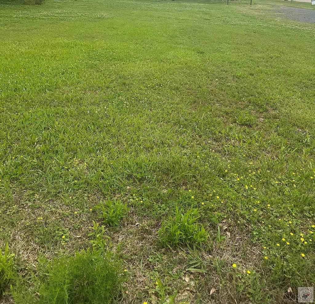 Odom St Hooks, TX 75561 - Thumbnail 4
