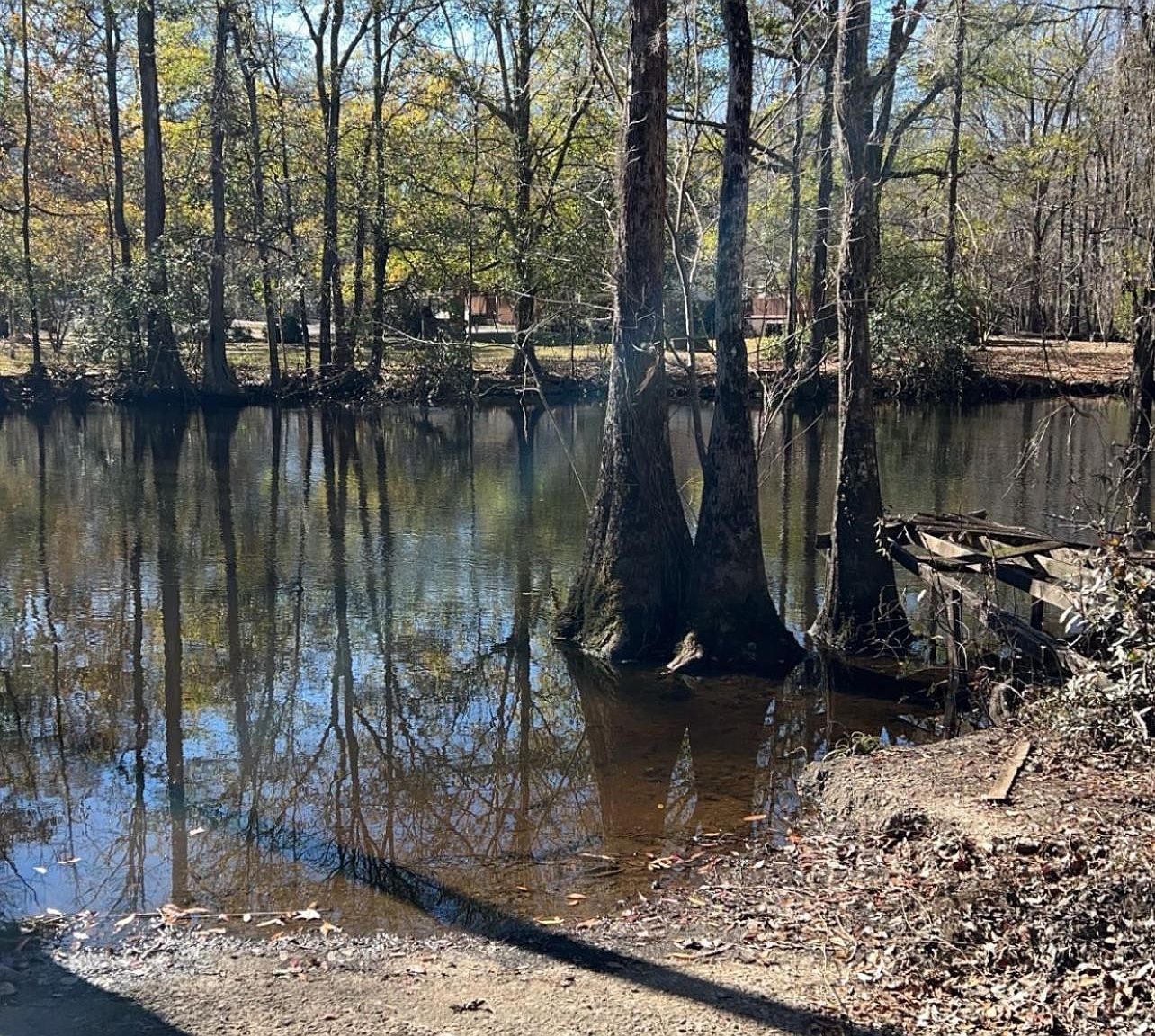 776 Shillings Bridge Rd, Orangeburg, SC, 29118 - Thumbnail 4