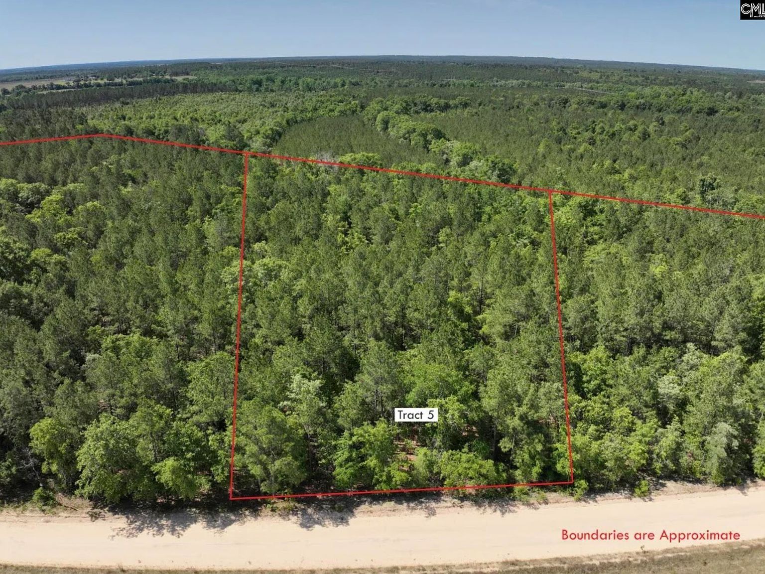 LOT 4 Charlie Johnson Rd Bethune, SC 29009 - Thumbnail 4